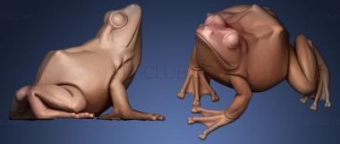 3D model frog (STL)